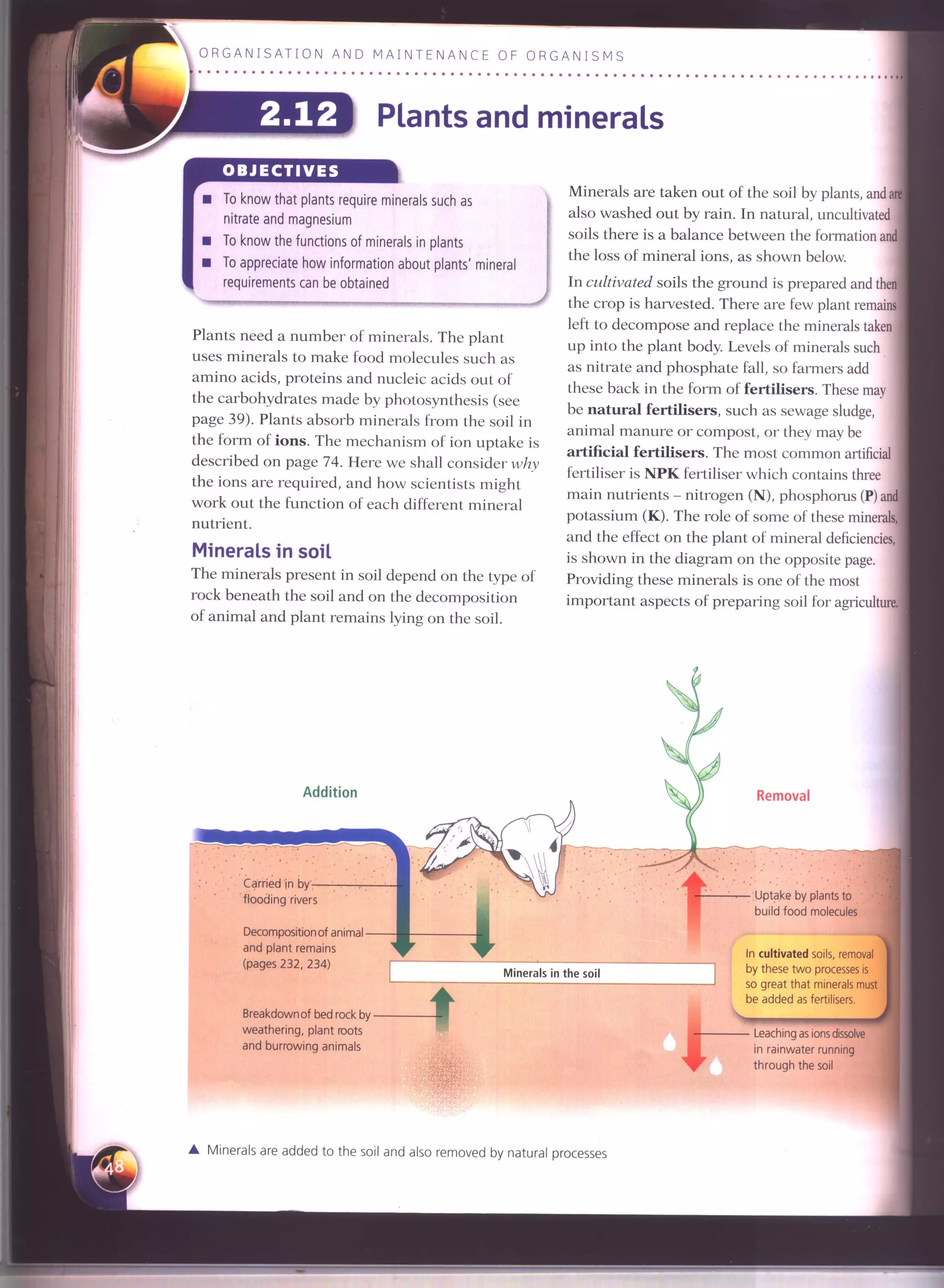 IGCSE Cambridge biology r. pickering