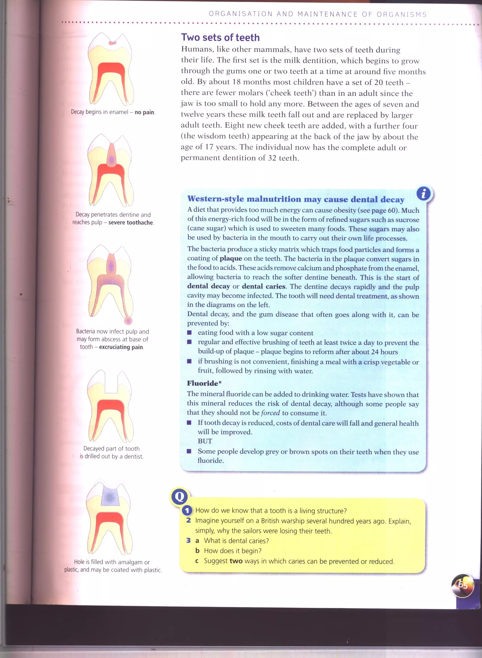 IGCSE Cambridge biology r. pickering