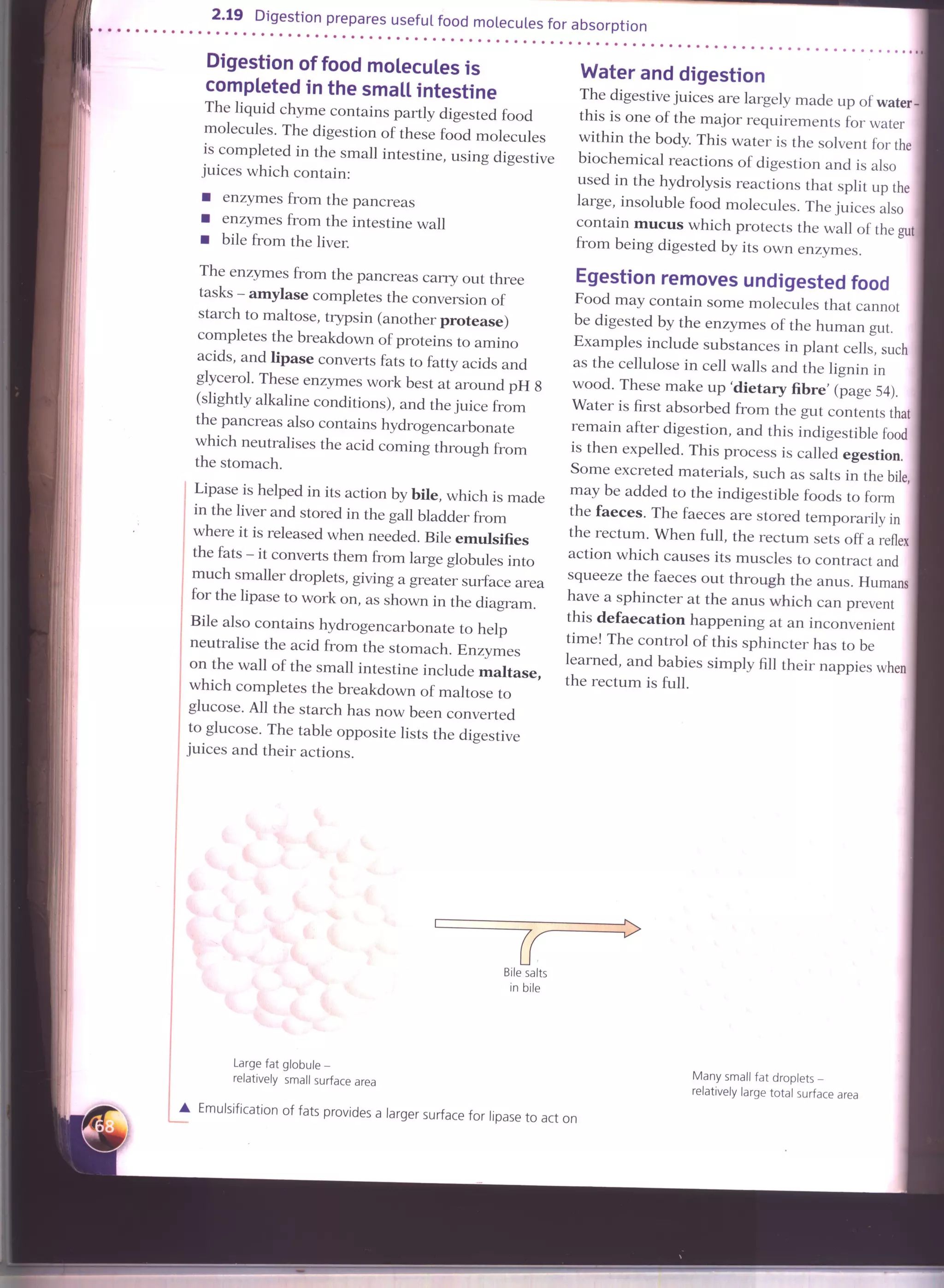 IGCSE Cambridge biology r. pickering