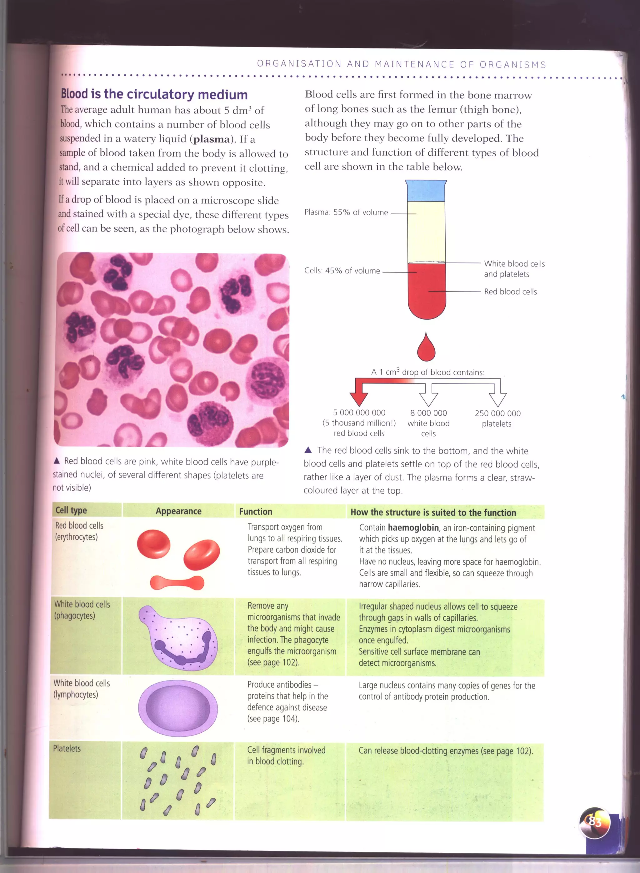 IGCSE Cambridge biology r. pickering