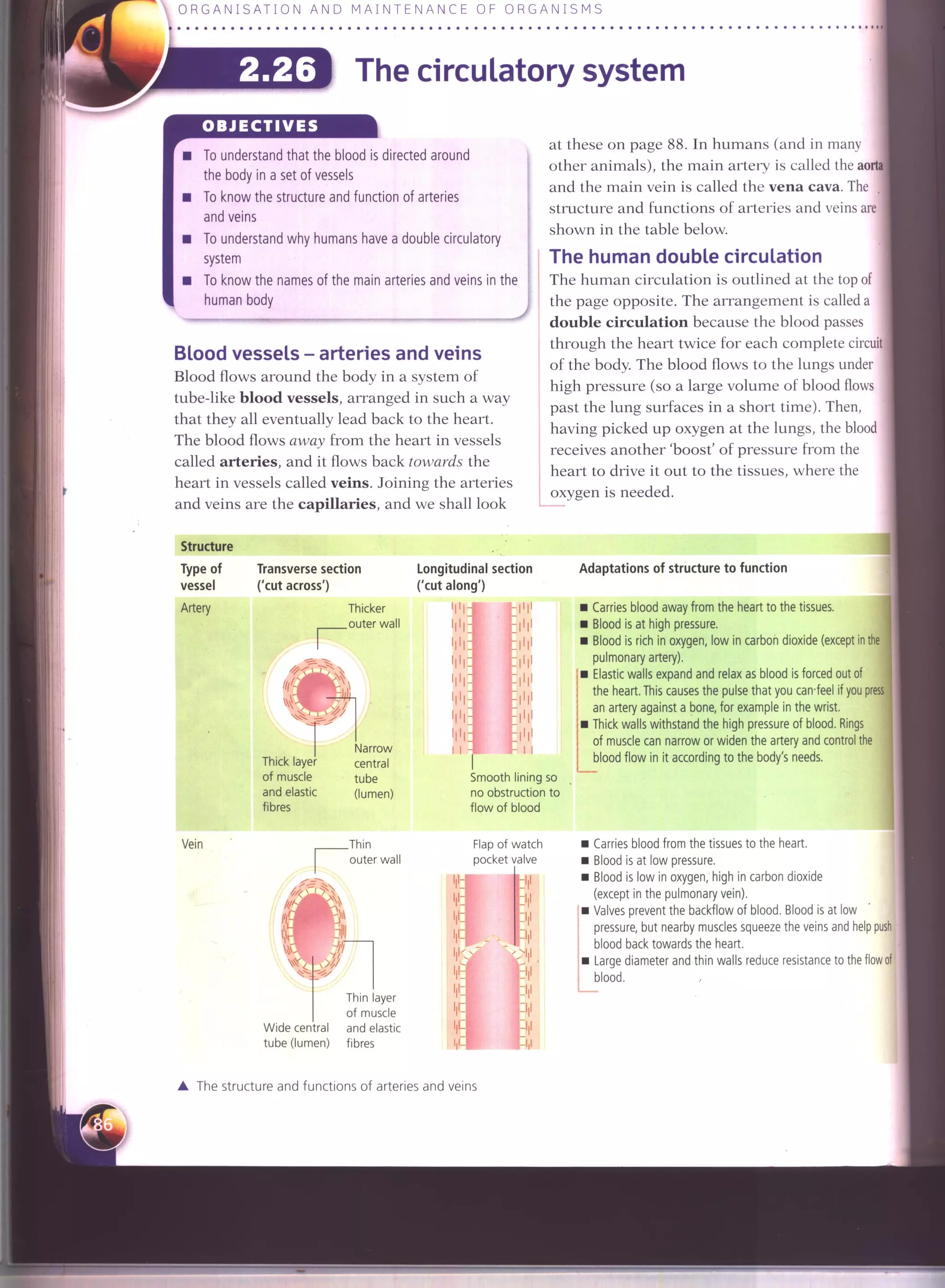 IGCSE Cambridge biology r. pickering