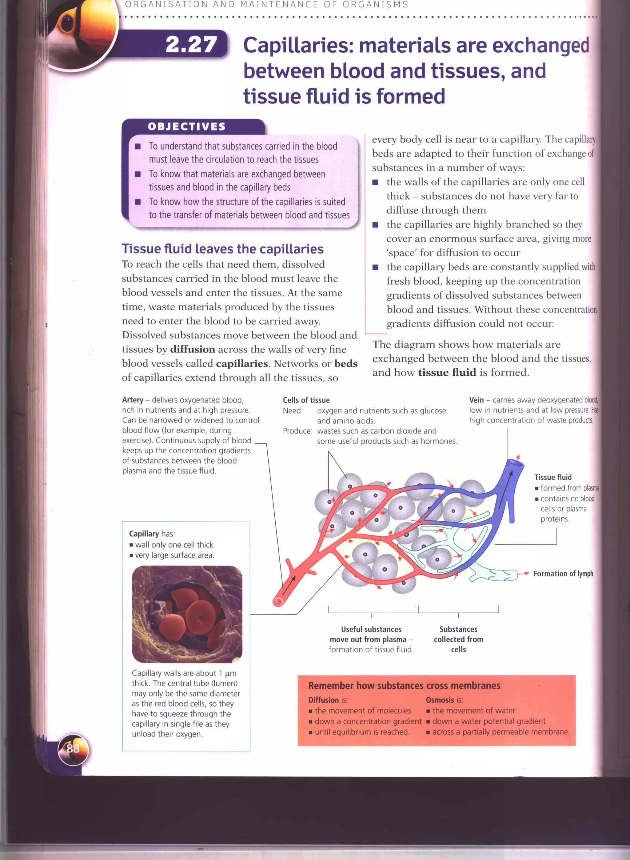 IGCSE Cambridge biology r. pickering