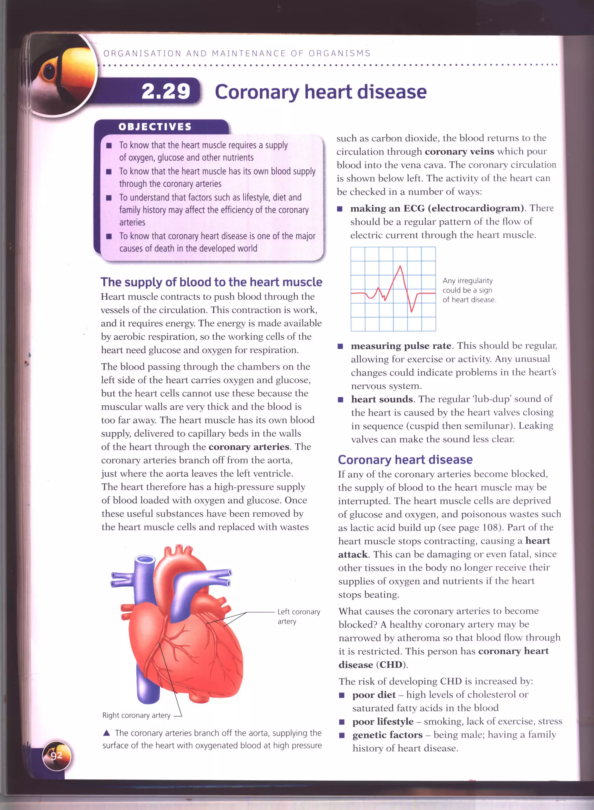 IGCSE Cambridge biology r. pickering