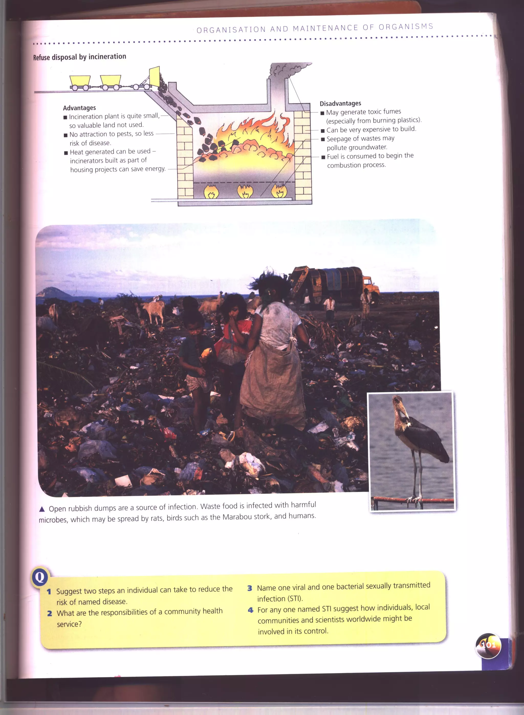 IGCSE Cambridge biology r. pickering