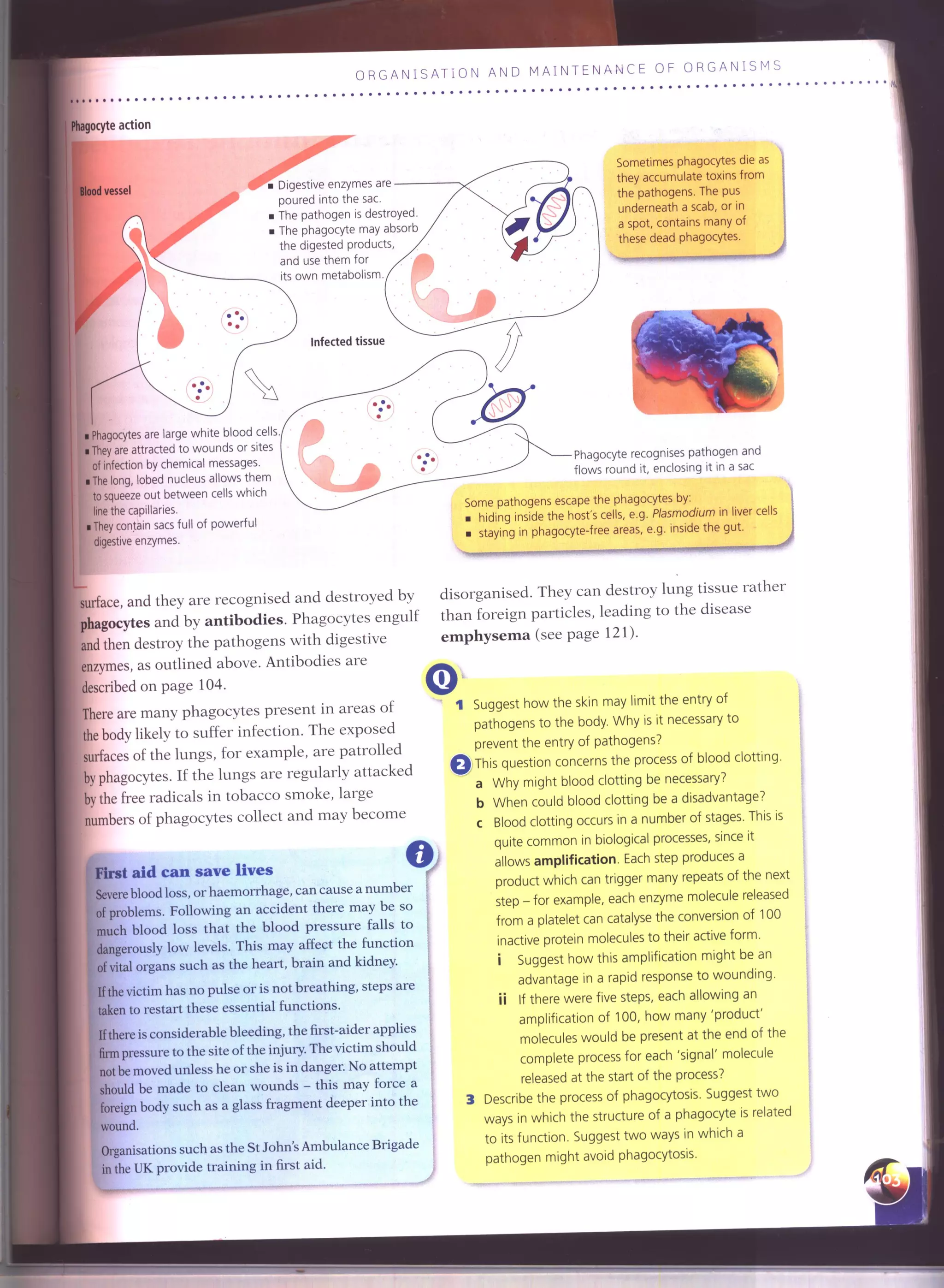 IGCSE Cambridge biology r. pickering