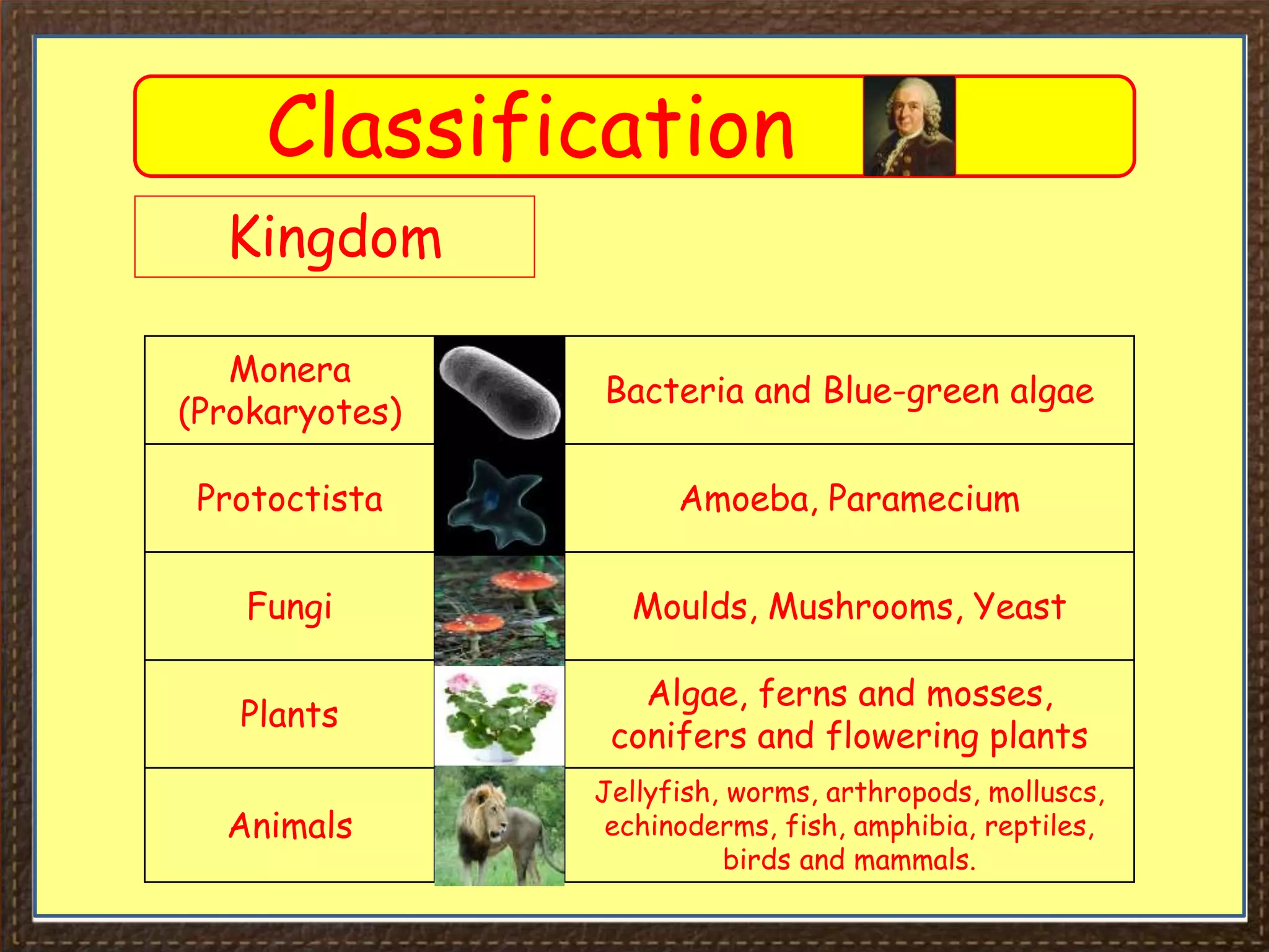View of Image result for fungus info optional boarding causal