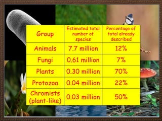 iGCSE Biology Section 1 Lesson 1.ppt