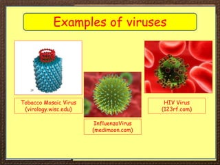 Virology Examples iGCSE Biology Section 1 Lesson 3.ppt
