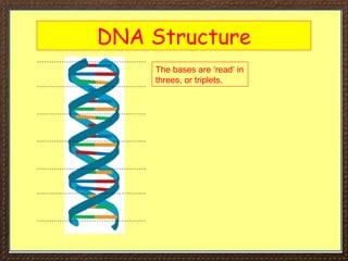 iGCSE Biology Section 3 Lesson 3 details | PPT