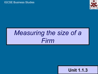 IGCSE Business Studies




       Measuring the size of a
               Firm



                         Unit 1.1.3
 