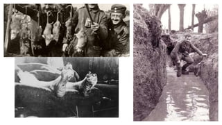 Igcse history (0470) depth study part 1 the first world war 1914 1918 ...