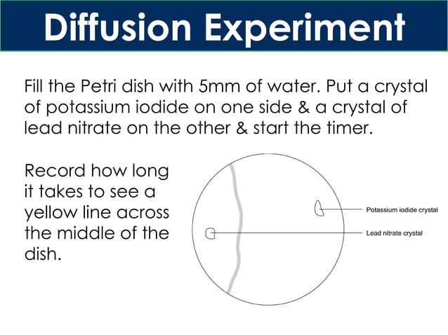 IGCSE Lesson 4 Diffusion, Task, Experiments.pptx