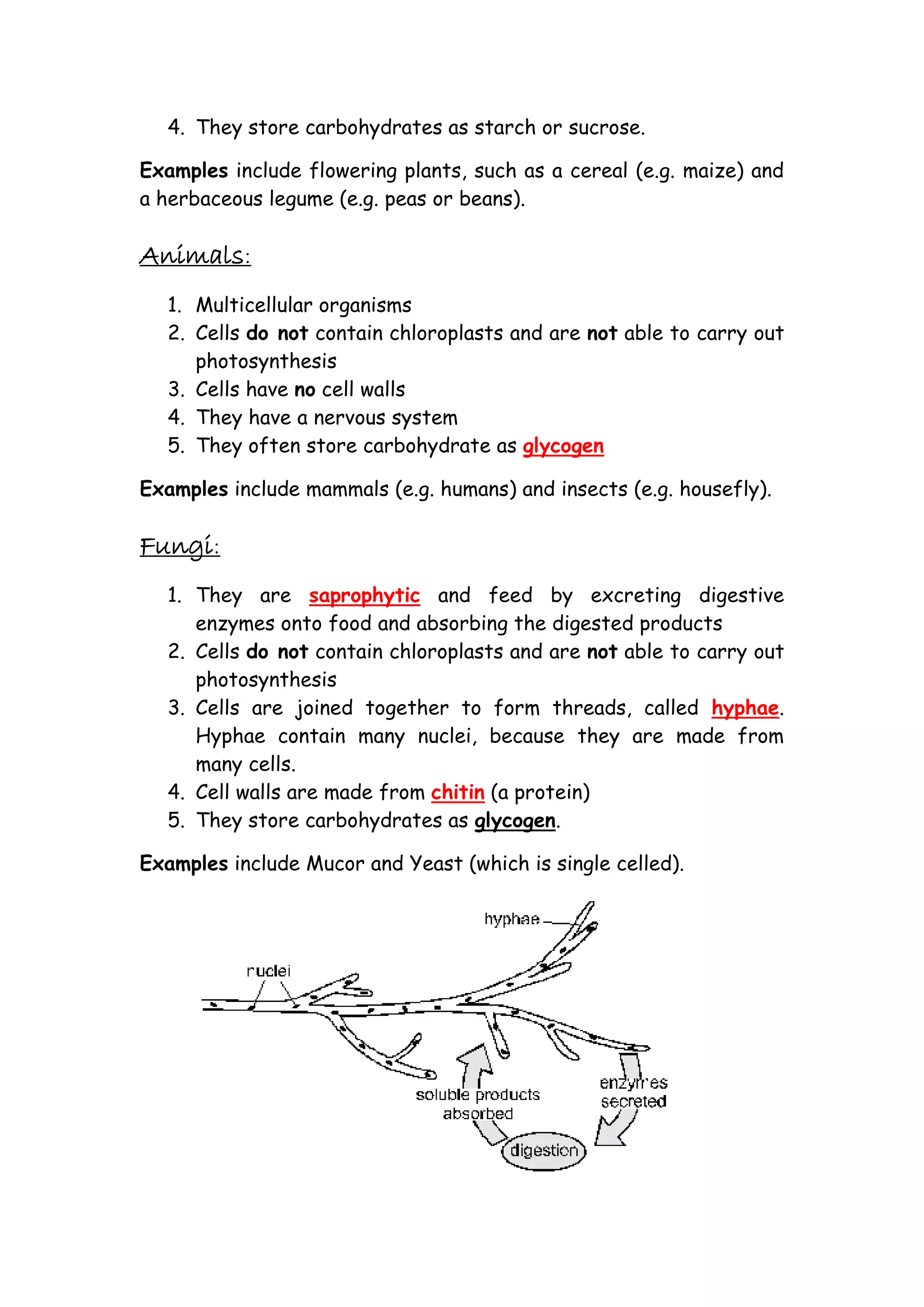 IGCSE Biology Revision Notes 2 | PDF