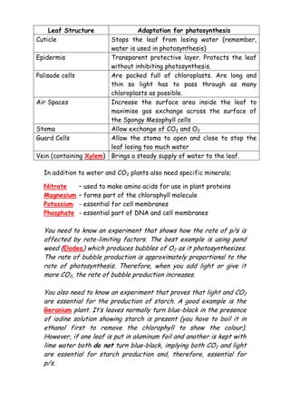 IGCSE Biology Revision Notes 2 | PDF