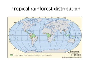 Tropical rainforest distribution
 