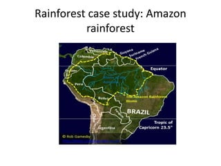Rainforest case study: Amazon
rainforest
 