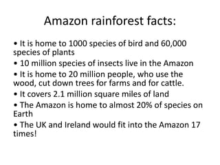 Amazon rainforest facts:
• It is home to 1000 species of bird and 60,000
species of plants
• 10 million species of insects live in the Amazon
• It is home to 20 million people, who use the
wood, cut down trees for farms and for cattle.
• It covers 2.1 million square miles of land
• The Amazon is home to almost 20% of species on
Earth
• The UK and Ireland would fit into the Amazon 17
times!
 