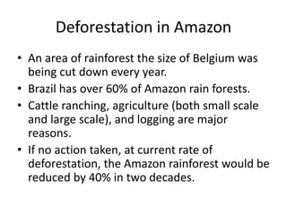 Deforestation in Amazon
• An area of rainforest the size of Belgium was
being cut down every year.
• Brazil has over 60% of Amazon rain forests.
• Cattle ranching, agriculture (both small scale
and large scale), and logging are major
reasons.
• If no action taken, at current rate of
deforestation, the Amazon rainforest would be
reduced by 40% in two decades.
 