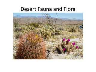 Desert Fauna and Flora
 