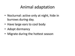 Animal adaptation
• Nocturnal: active only at night, hide in
burrows during day.
• Have large ears to cool body
• Adopt dormancy
• Migrate during the hottest season
 
