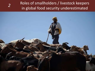 Feeding the World in 2050: Trade-offs, synergies and tough choices for the livestock sector 