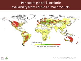 Feeding the World in 2050: Trade-offs, synergies and tough choices for the livestock sector 