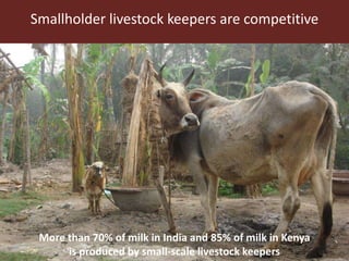 Feeding the World in 2050: Trade-offs, synergies and tough choices for the livestock sector 