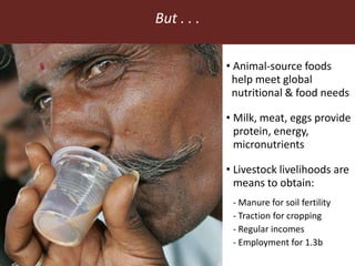 Feeding the World in 2050: Trade-offs, synergies and tough choices for the livestock sector 