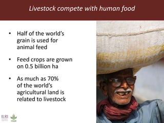 Feeding the World in 2050: Trade-offs, synergies and tough choices for the livestock sector 