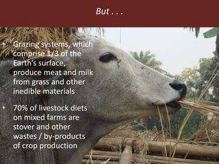 Feeding the World in 2050: Trade-offs, synergies and tough choices for the livestock sector 