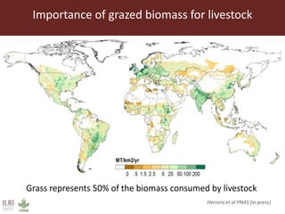 Feeding the World in 2050: Trade-offs, synergies and tough choices for the livestock sector 