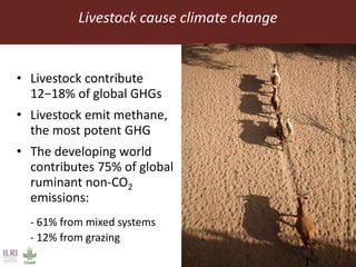 Feeding the World in 2050: Trade-offs, synergies and tough choices for the livestock sector 