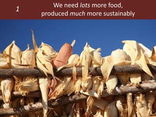 Feeding the World in 2050: Trade-offs, synergies and tough choices for the livestock sector 