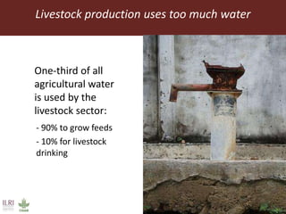 Feeding the World in 2050: Trade-offs, synergies and tough choices for the livestock sector 
