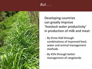 Feeding the World in 2050: Trade-offs, synergies and tough choices for the livestock sector 