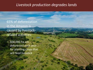 Feeding the World in 2050: Trade-offs, synergies and tough choices for the livestock sector 