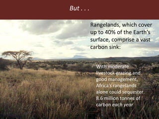 Feeding the World in 2050: Trade-offs, synergies and tough choices for the livestock sector 