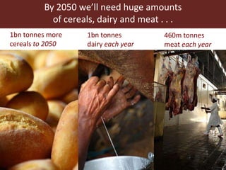 Feeding the World in 2050: Trade-offs, synergies and tough choices for the livestock sector 