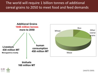 Feeding the World in 2050: Trade-offs, synergies and tough choices for the livestock sector 