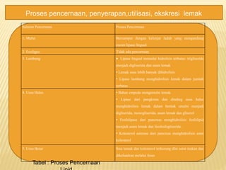 Proses pencernaan, penyerapan,utilisasi, ekskresi lemak
Saluran Pencernaan Proses Pencernaan
1. Mulut Bercampur dengan kelenjar ludah yang mengandung
enzim lipase lingual
2. Esofagus Tidak ada pencernaan
3. Lambung  Lipase lingual memulai hidrolisis terbatas: trigliserida
menjadi digliserida dan asam lemak
• Lemak susu lebih banyak dihidrolisis
• Lipase lambung menghidrolisis lemak dalam jumlah
terbatas
4. Usus Halus • Bahan empedu mengemulsi lemak.
• Lipase dari pangkreas dan dinding usus halus
menghidrolisis lemak dalam bentuk emulsi menjadi
digliserida, monogliserida, asam lemak dan gliserol
• Fosfolipase dari pancreas menghidrolisis fosfolipid
menjadi asam lemak dan lisofosfogliserida.
• Kolesterol esterase dari pancreas menghidrolisis ester
kolesterol
5. Usus Besar Sisa lemak dan kolesterol terkurung dlm serat makan dan
dikeluarkan melalui feses
Tabel : Proses Pencernaan
 