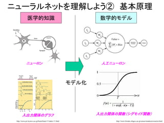 ニューラルネットを理解しよう② 基本原理
http://www.pri.kyoto-u.ac.jp/brain/brain/11/index-11.html
医学的知識
http://www.biwako.shiga-u.ac.jp/sensei/mnaka/ut/sozai/ai.html
モデル化
数学的モデル
ニューロン 人工ニューロン
入出力関係のグラフ 入出力関係の関数（シグモイド関数）
 