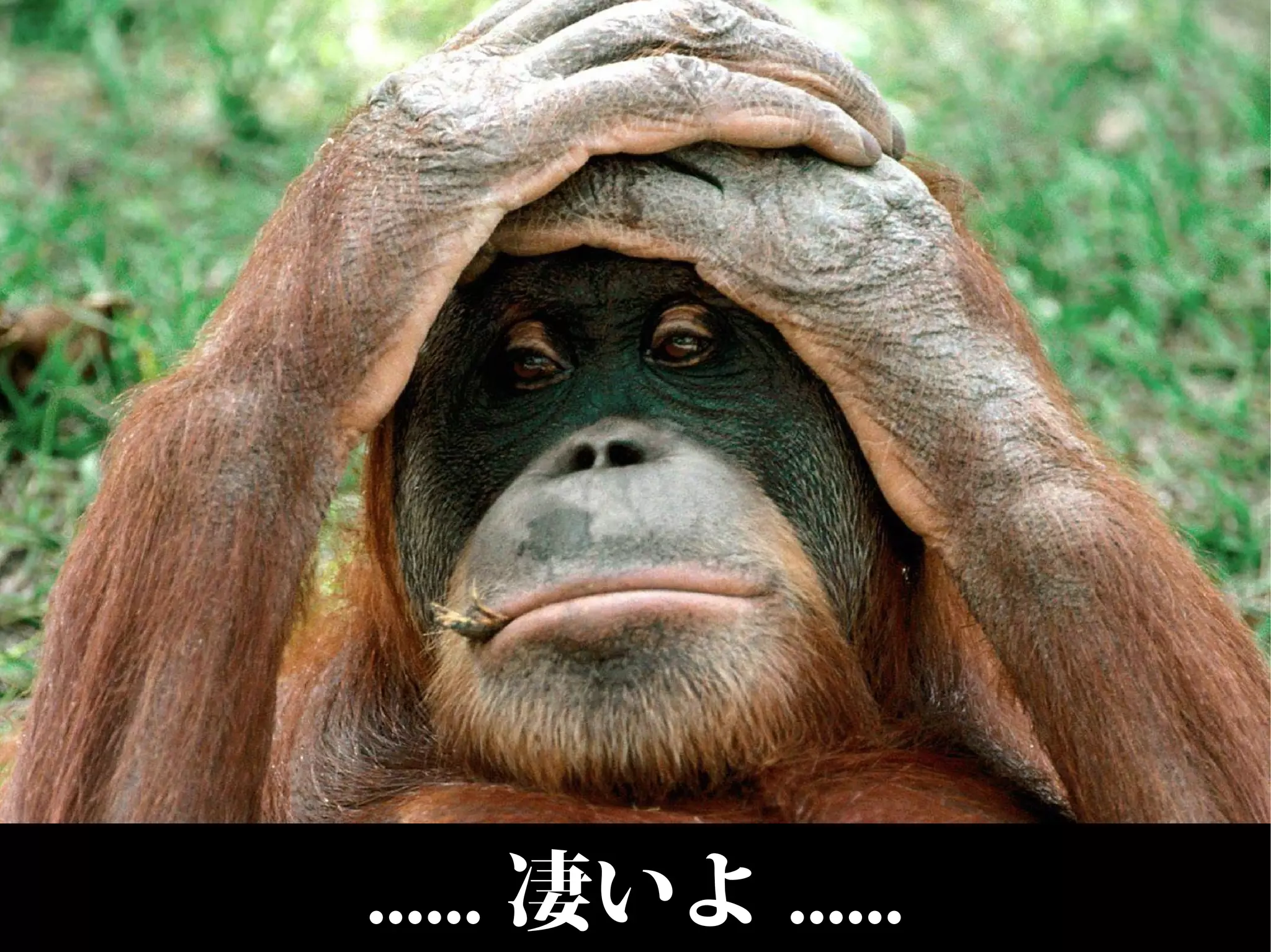 ...... 凄いよ ......
 