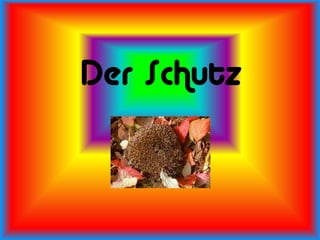 Der Schutz
 