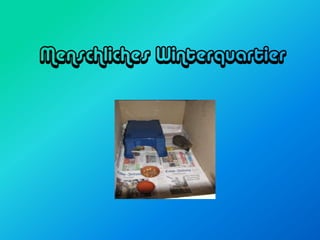 Menschliches Winterquartier
 
