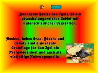 Das ideale Revier des Igels ist ein
       abwechslungsreiches Gebiet mit
        unterschiedlicher Vegetation.



Hecken, hohes Gras, Büsche und
    Gehölz sind eine ideale
   Grundlage für den Igel als
 Nistgelegenheit und auch als
  vielfältige Nahrungsquelle.
 
