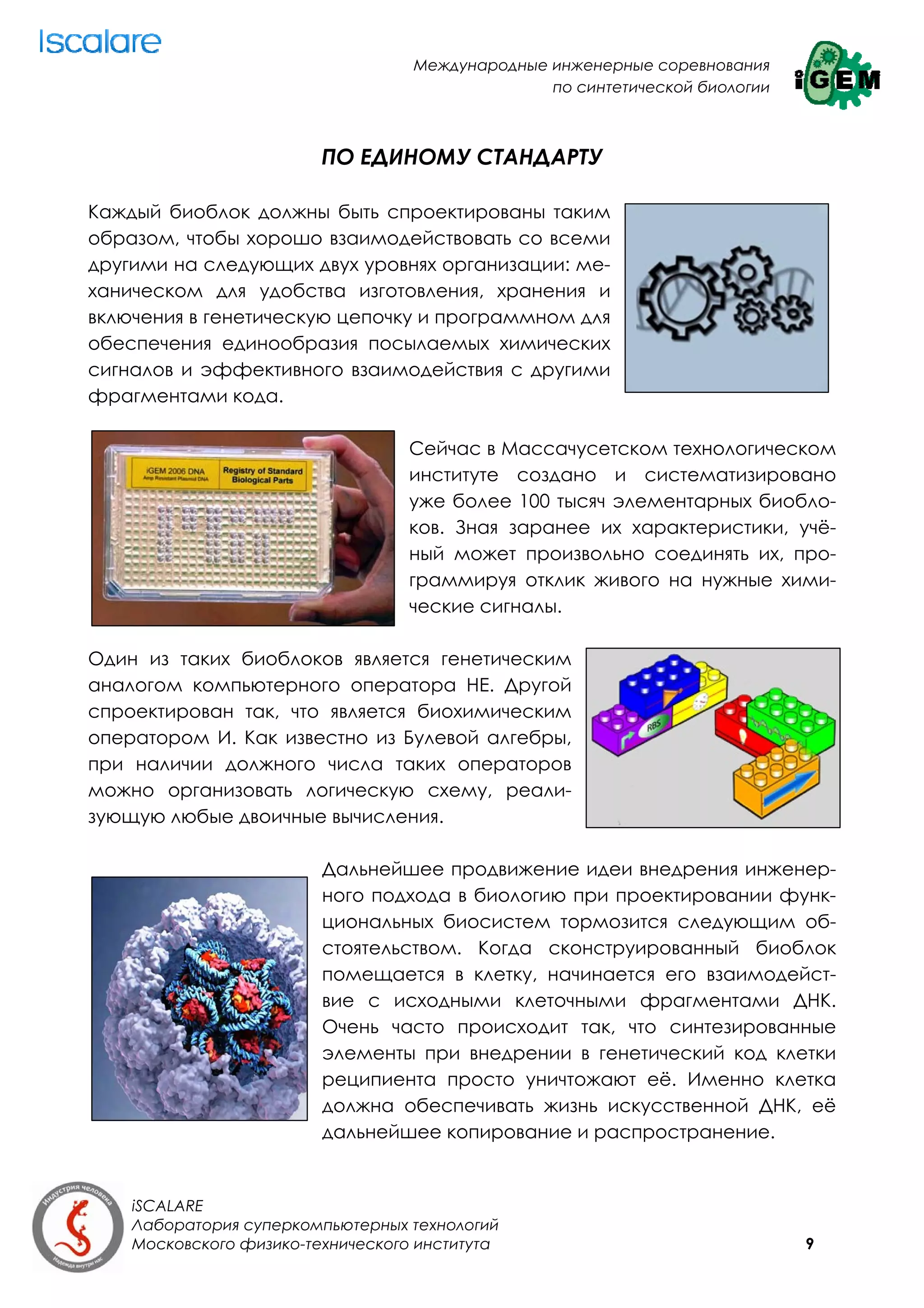 Международные инженерные соревнования
                                                 по синтетической биологии



                         ПО ЕДИНОМУ СТАНДАРТУ

Каждый биоблок должны быть спроектированы таким
образом, чтобы хорошо взаимодействовать со всеми
другими на следующих двух уровнях организации: ме-
ханическом для удобства изготовления, хранения и
включения в генетическую цепочку и программном для
обеспечения единообразия посылаемых химических
сигналов и эффективного взаимодействия с другими
фрагментами кода.

                                  Сейчас в Массачусетском технологическом
                                  институте создано и систематизировано
                                  уже более 100 тысяч элементарных биобло-
                                  ков. Зная заранее их характеристики, учё-
                                  ный может произвольно соединять их, про-
                                  граммируя отклик живого на нужные хими-
                                  ческие сигналы.

Один из таких биоблоков является генетическим
аналогом компьютерного оператора НЕ. Другой
спроектирован так, что является биохимическим
оператором И. Как известно из Булевой алгебры,
при наличии должного числа таких операторов
можно организовать логическую схему, реали-
зующую любые двоичные вычисления.

                         Дальнейшее продвижение идеи внедрения инженер-
                         ного подхода в биологию при проектировании функ-
                         циональных биосистем тормозится следующим об-
                         стоятельством. Когда сконструированный биоблок
                         помещается в клетку, начинается его взаимодейст-
                         вие с исходными клеточными фрагментами ДНК.
                         Очень часто происходит так, что синтезированные
                         элементы при внедрении в генетический код клетки
                         реципиента просто уничтожают её. Именно клетка
                         должна обеспечивать жизнь искусственной ДНК, её
                         дальнейшее копирование и распространение.


    iSCALARE
    Лаборатория суперкомпьютерных технологий
    Московского физико-технического института                                9
 