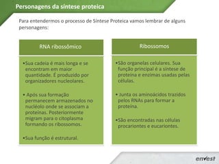 Para entendermos o processo de Síntese Proteica vamos lembrar de alguns
personagens:
RNA ribossômico
•Sua cadeia é mais longa e se
encontram em maior
quantidade. É produzido por
organizadores nucleolares.
• Após sua formação
permanecem armazenados no
nucléolo onde se associam a
proteínas. Posteriormente
migram para o citoplasma
formando os ribossomos.
•Sua função é estrutural.
Ribossomos
•São organelas celulares. Sua
função principal é a síntese de
proteína e enzimas usadas pelas
células.
• Junta os aminoácidos trazidos
pelos RNAs para formar a
proteína.
•São encontradas nas células
procariontes e eucariontes.
Personagens da síntese proteica
 