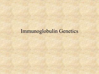 Immunoglobulin Genetics
 