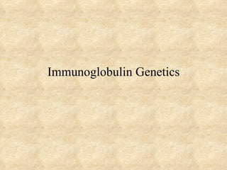 Immunoglobulin Genetics 