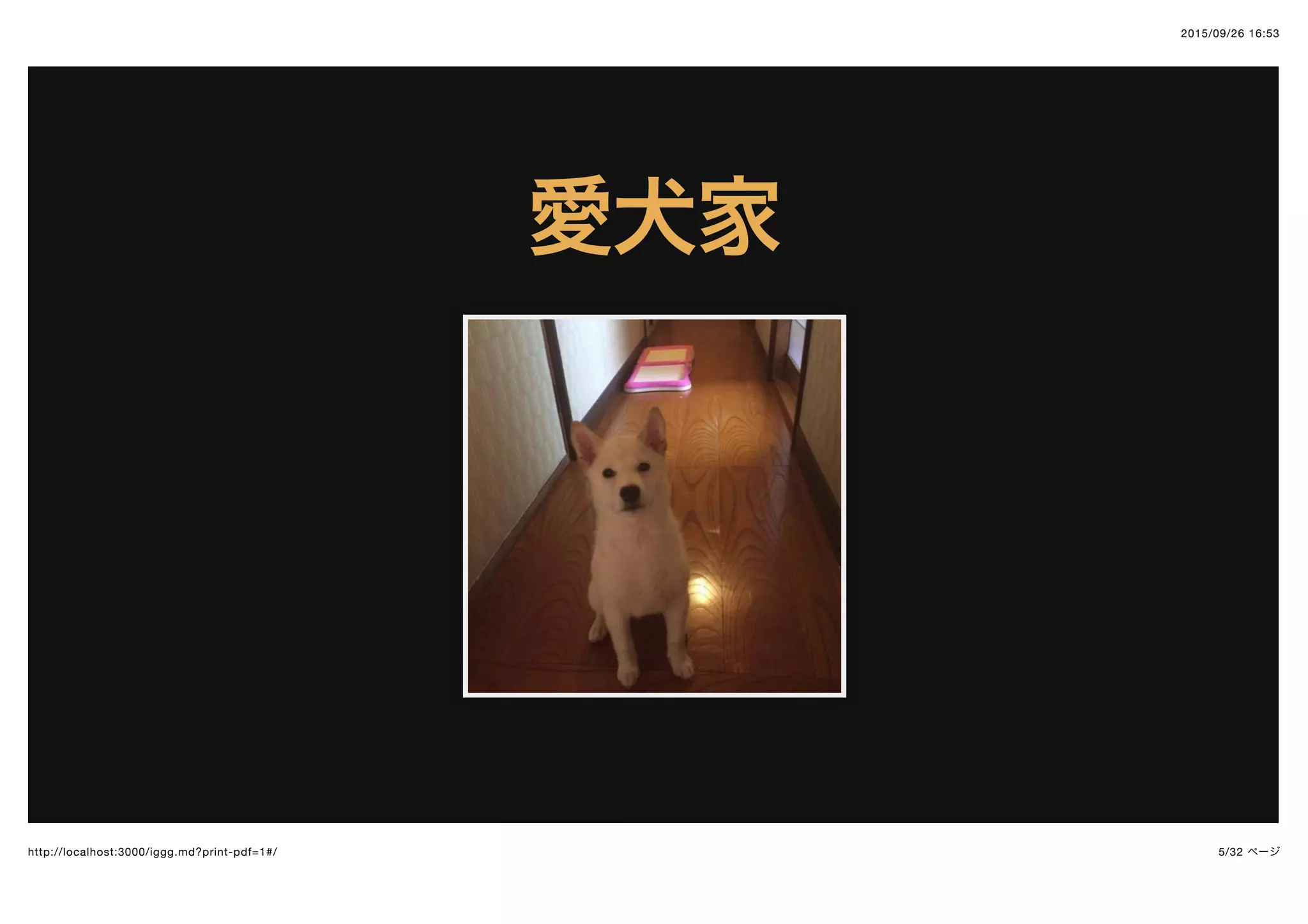2015/09/26 16:53
5/32 ページhttp://localhost:3000/iggg.md?print-pdf=1#/
愛犬家愛犬家
 